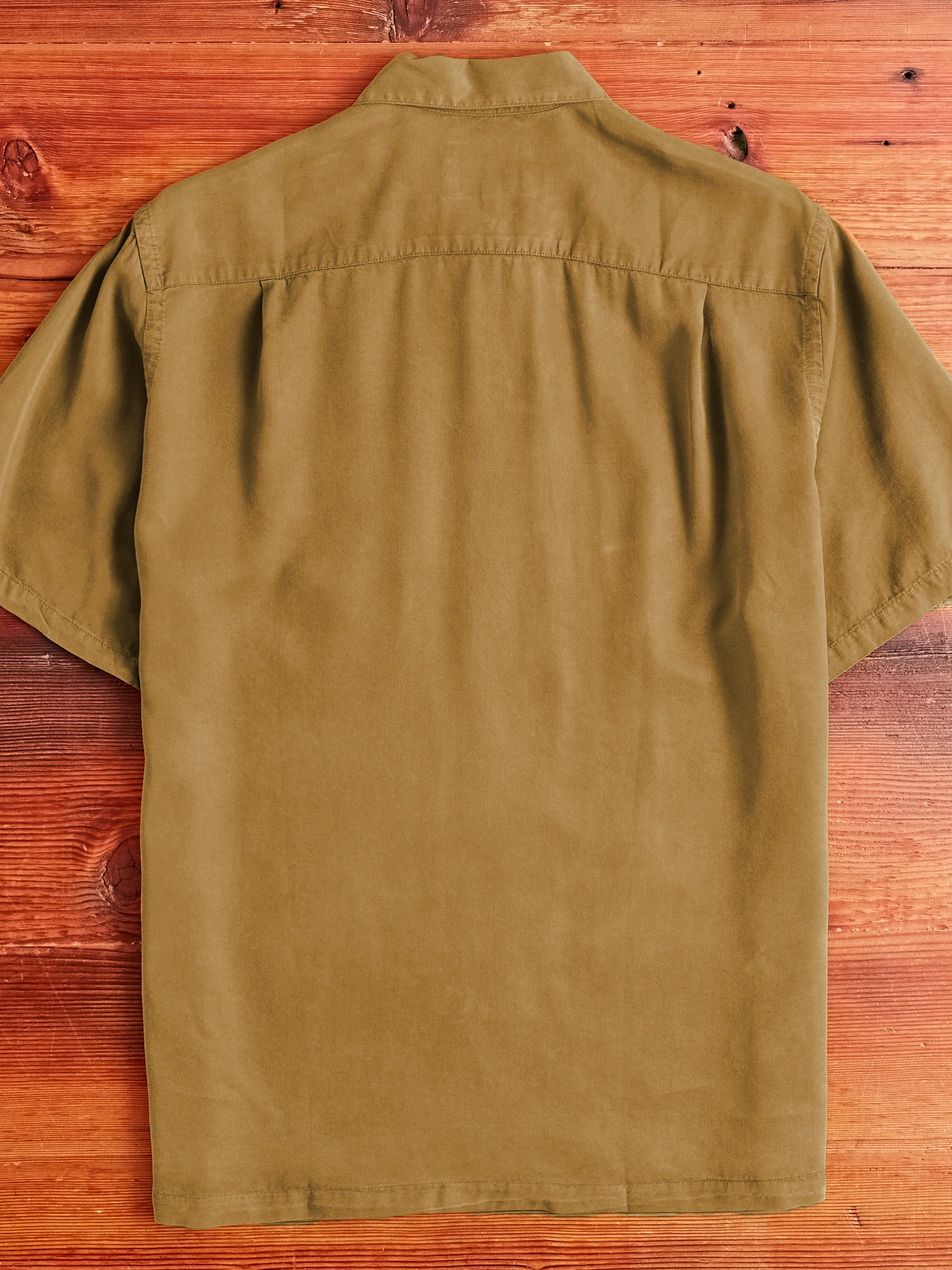 Dogtown Shirt in Cinnamon - Image 10