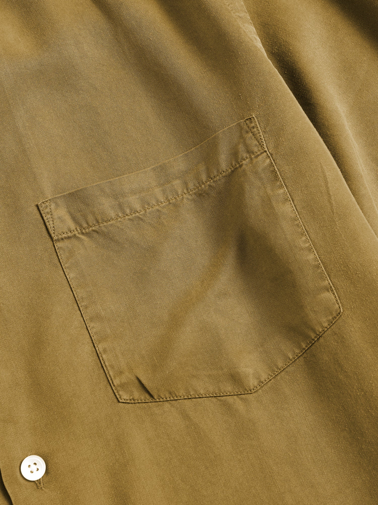 Dogtown Shirt in Cinnamon - Image 4