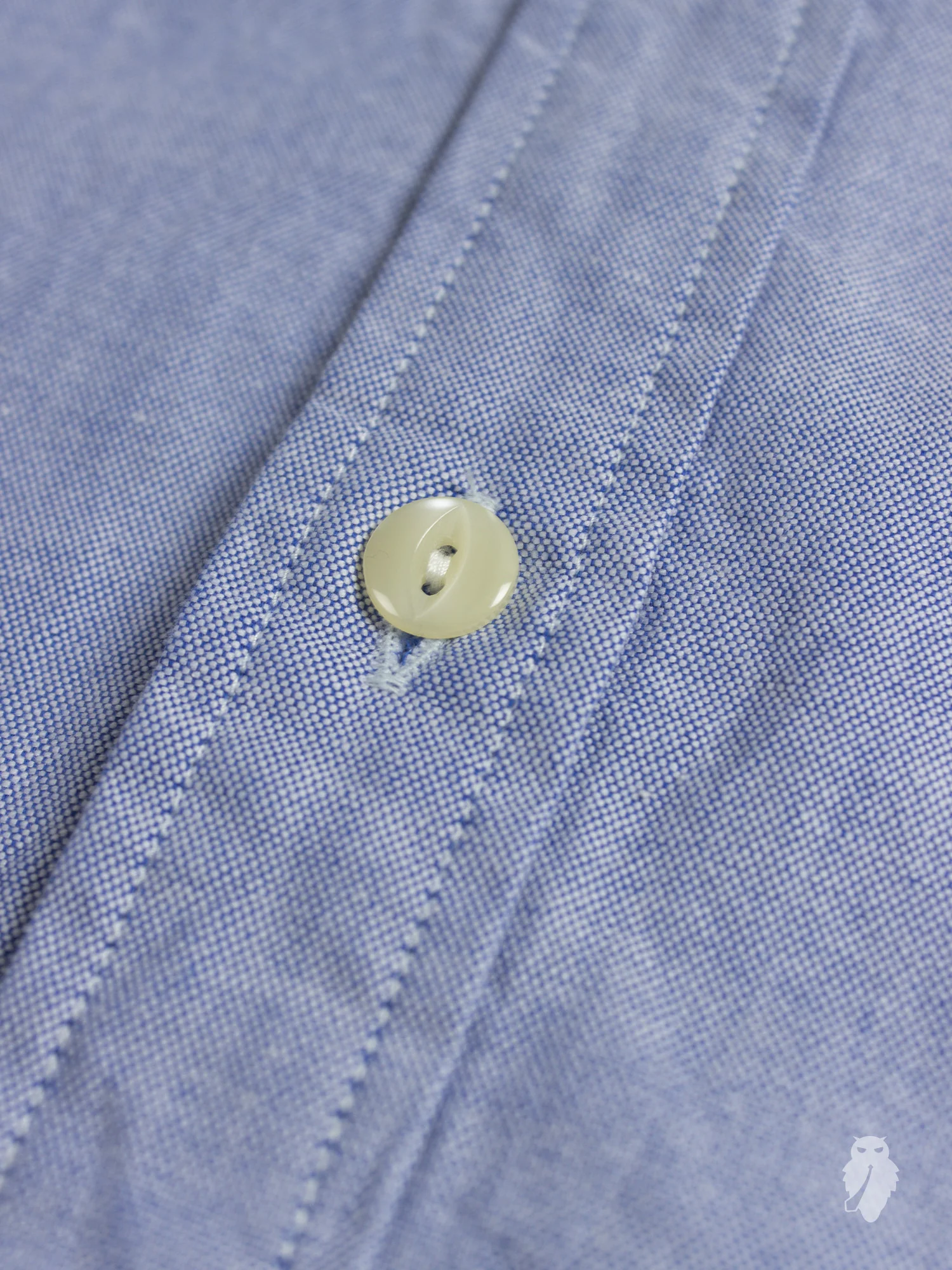 Oxford Cloth Button Down Shirt in Blue - Image 5