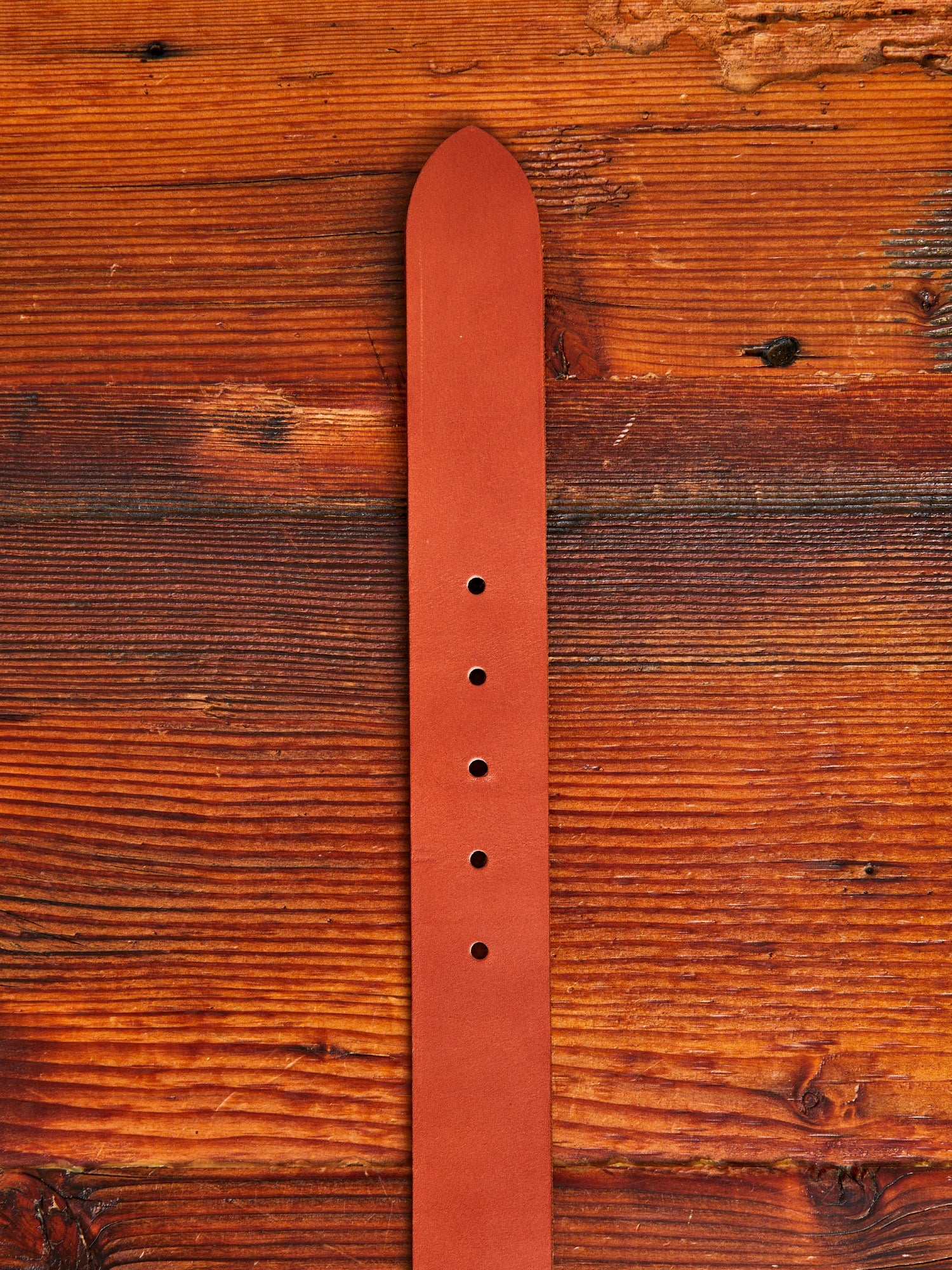 Pioneer Leather Belt in Oro Russet - Image 4