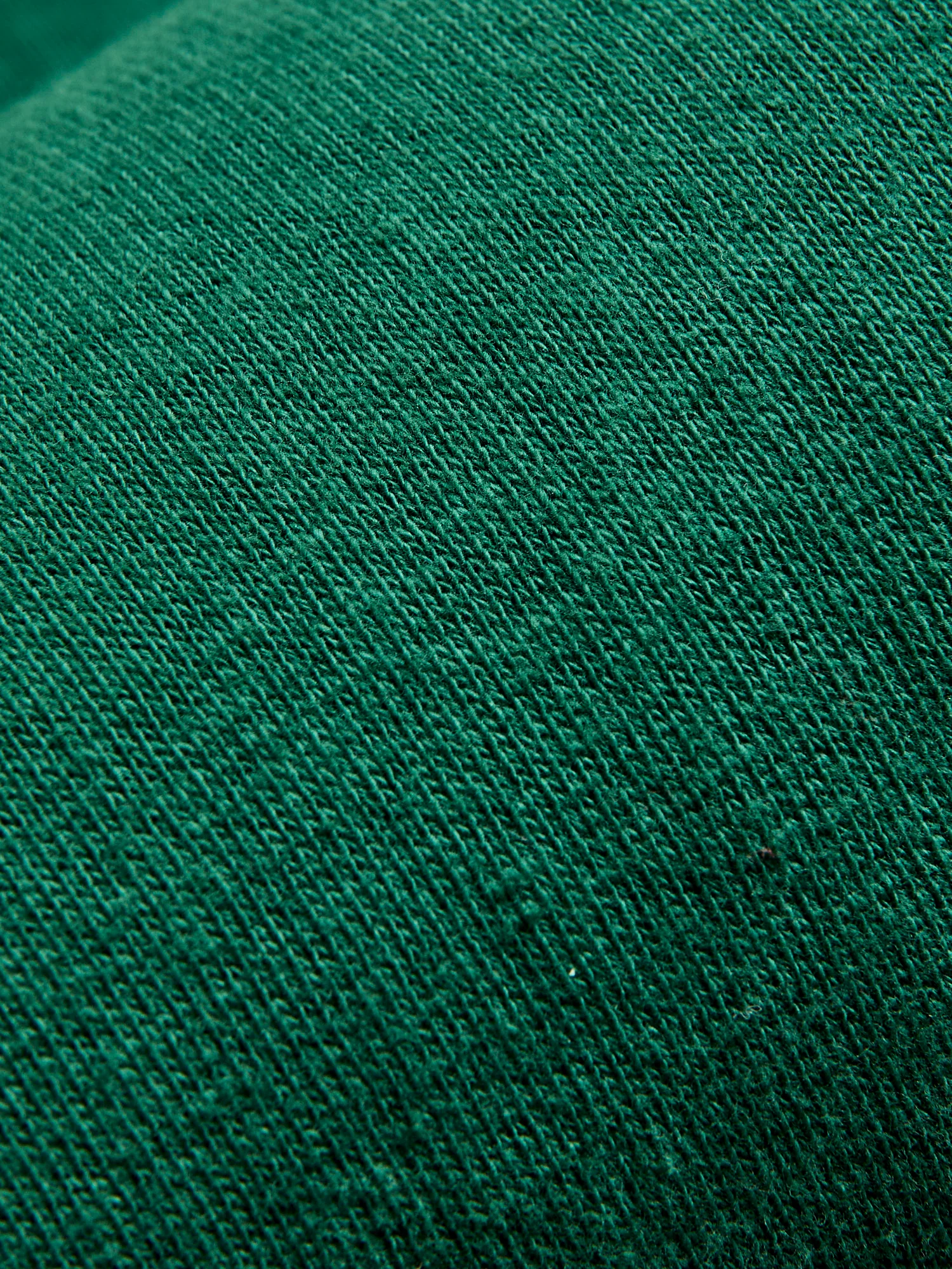 Tsuriami Loopwheel Sweatshirt in Green - Image 7