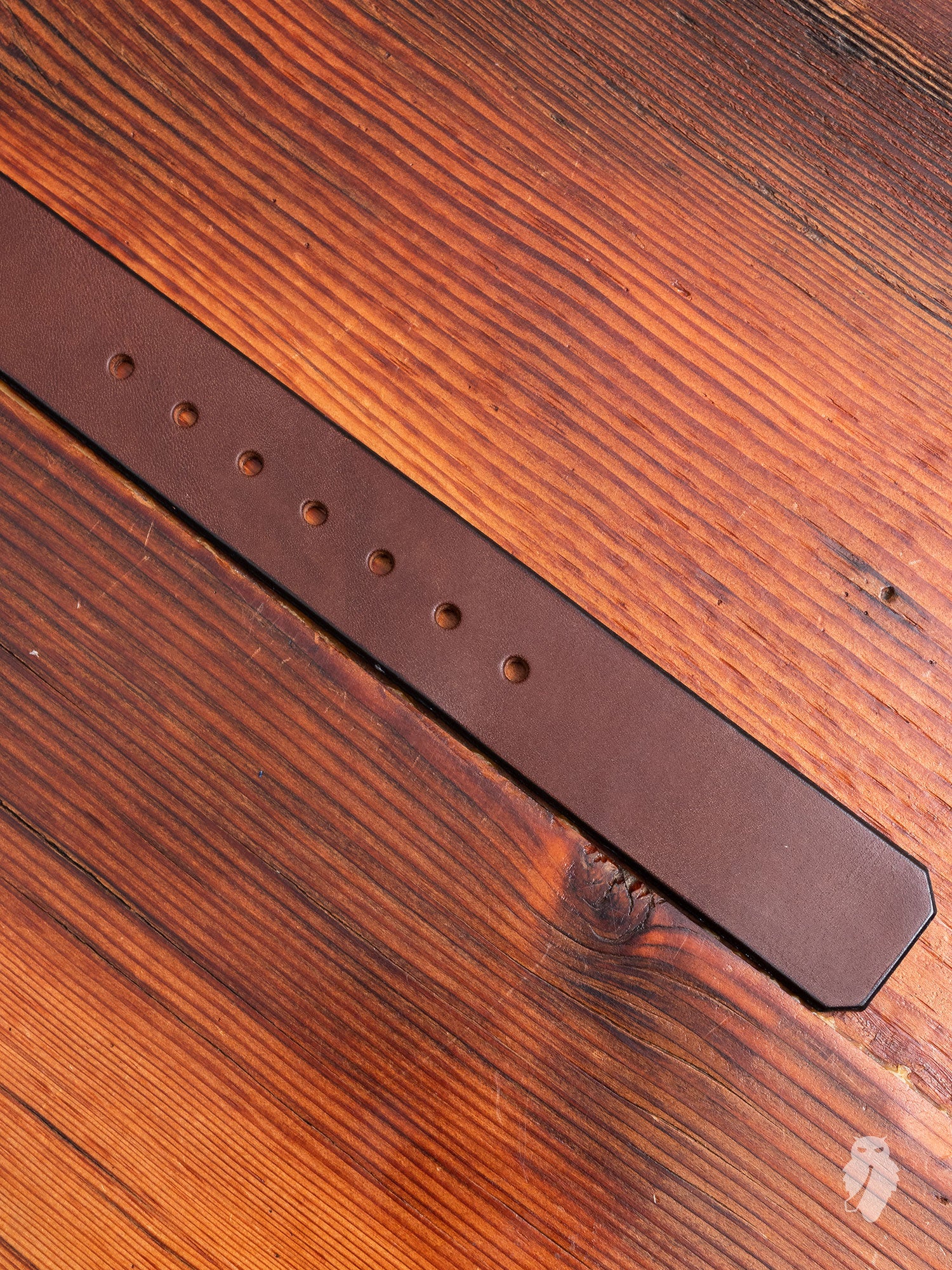 "Wenatchee Belt" in Mocha Brown 2017 - Image 4